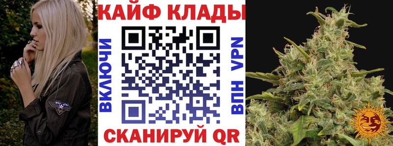 Псилоцибиновые грибы Горно-Алтайск