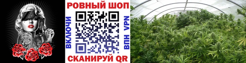 Все наркотики Горно-Алтайск Гашиш  Бутират  Меф  Канабис  Кокаин  Alpha PVP 