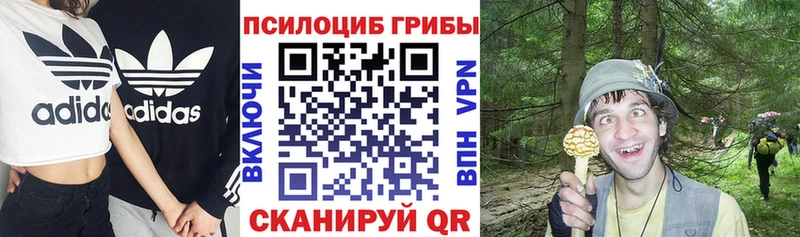 где можно купить наркотик Горно-Алтайск Галлюциногенные грибы MAGIC MUSHROOMS