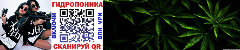 omg как зайти Горно-Алтайск Конопля Ganja
